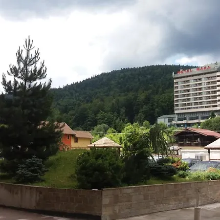 Sophie Apartament Apartment Sinaia