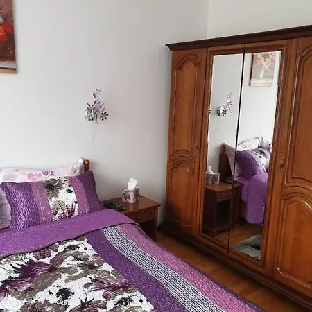 Apartment Sophie Apartament Sinaia
