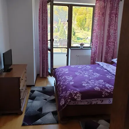 Sophie Apartament *
