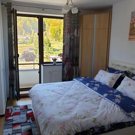 Sophie Apartament Apartment Sinaia