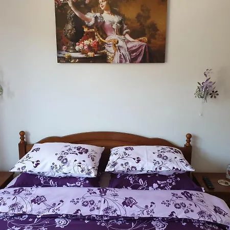 Sophie Apartament Apartment