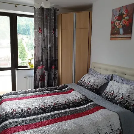 Sophie Apartament Apartment