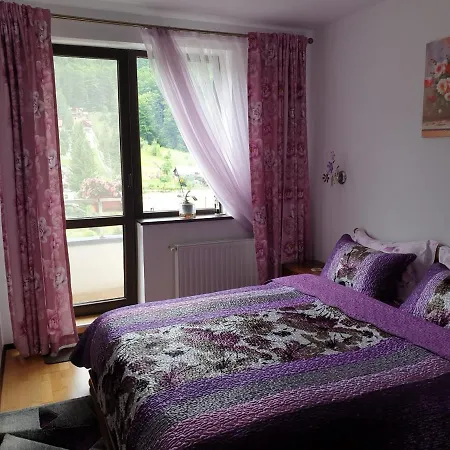 Sophie Apartament Apartment